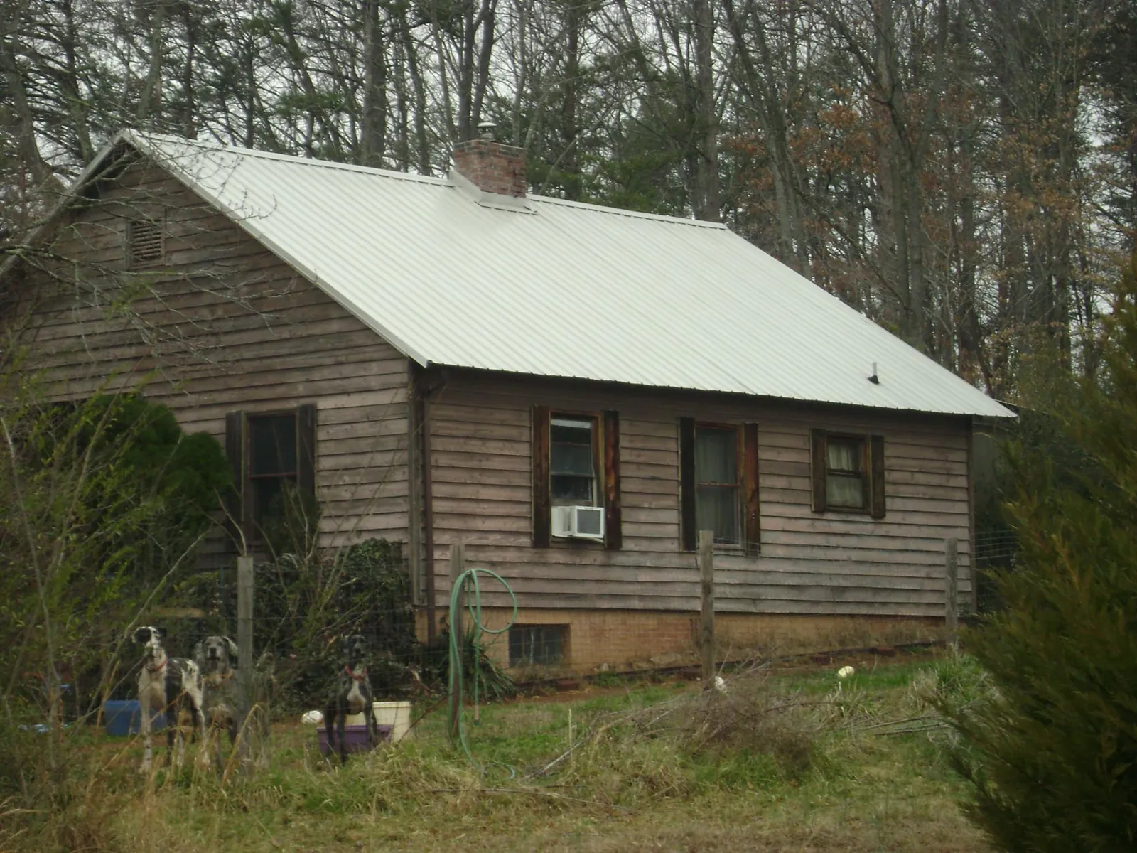 White metal roof on an old wood sided farmhouse, from a Asphalt Shingle Roof Repair job in Alton